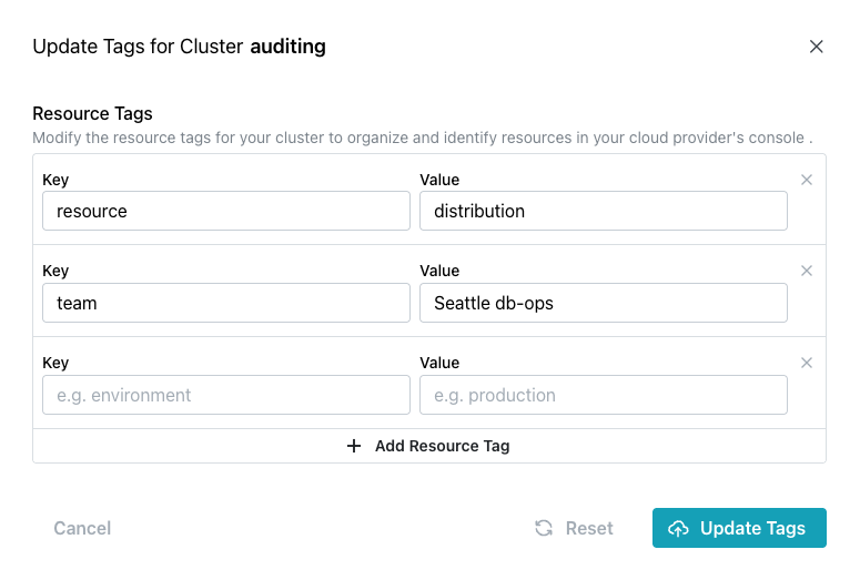 Editing a resource tag