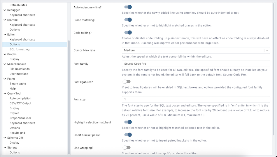 Preferences editor options section